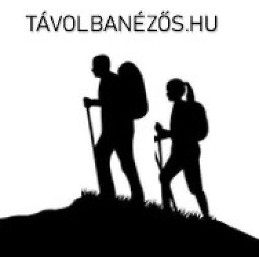 Távolbanézős