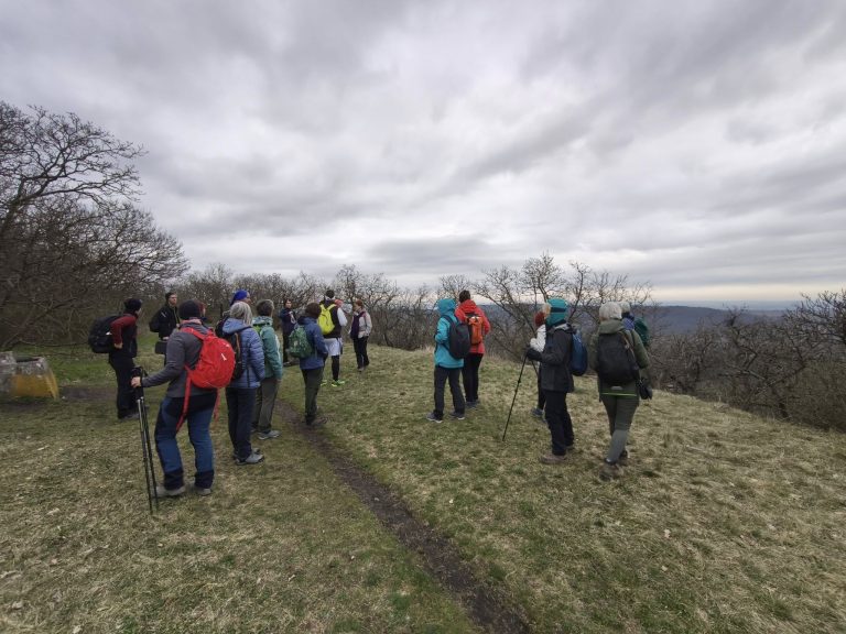 Kilátás a Fóti Somlyó legmagasabb pontjáról (288 m)