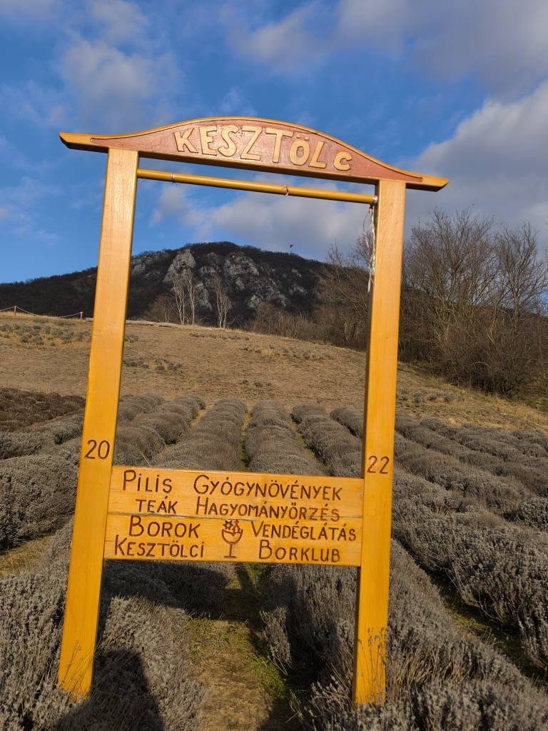Pálos gyógynövénykert