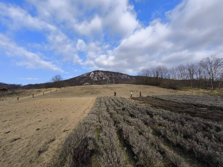 2025.02.15 – Kesztölc
