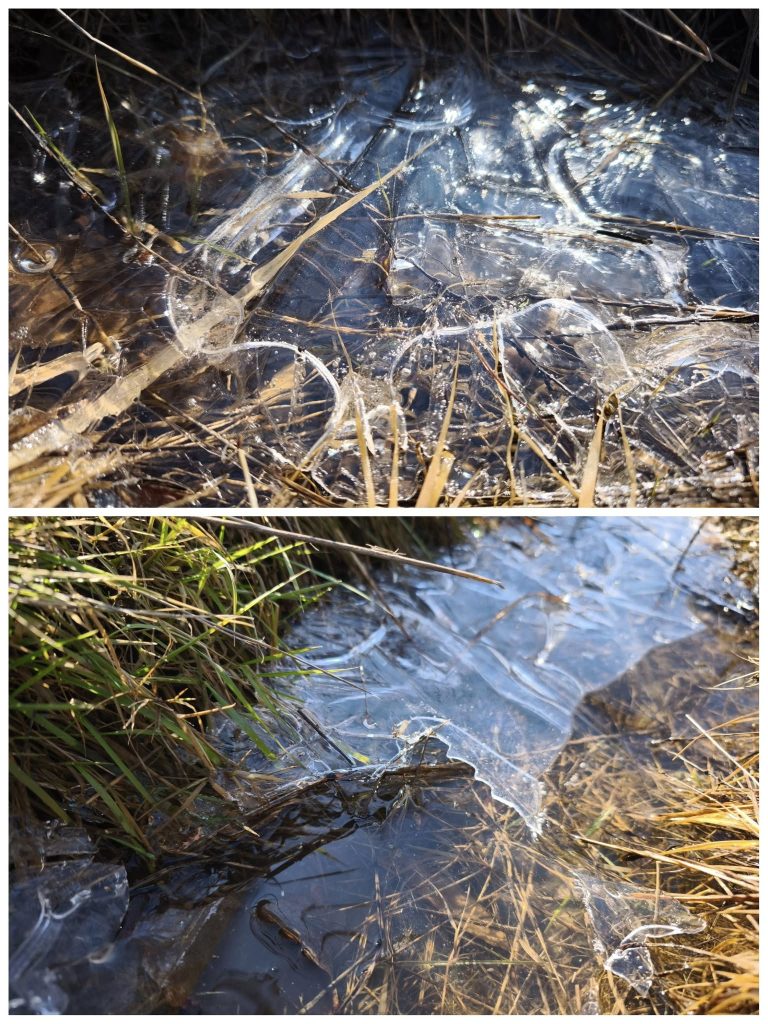 A hűvösebb részeken nyomokban megmaradt a jég a patakon