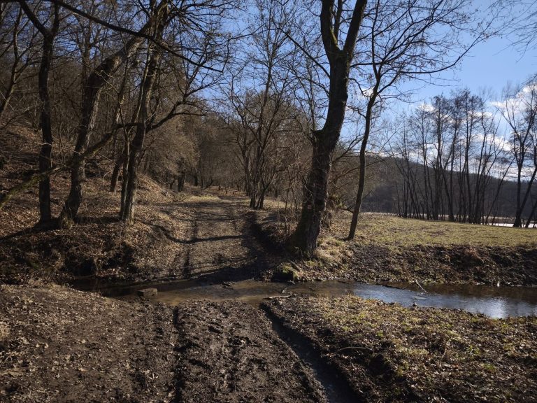 2025.03.01 – Kismaros