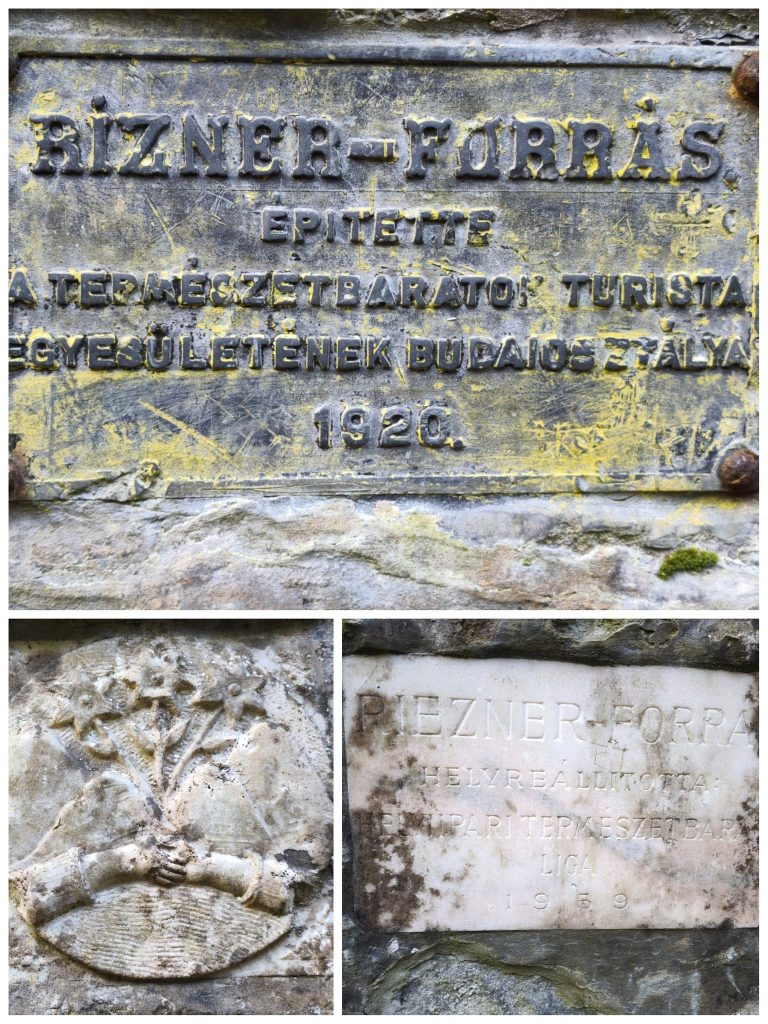 Rizner forrás