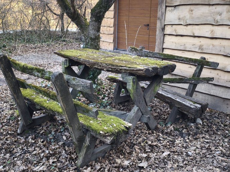 Elhagyatott, mohás pad a Morgó közelében