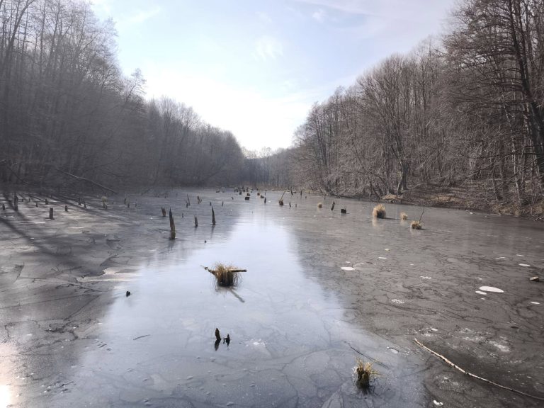 2025.02.23 – Odvaskő