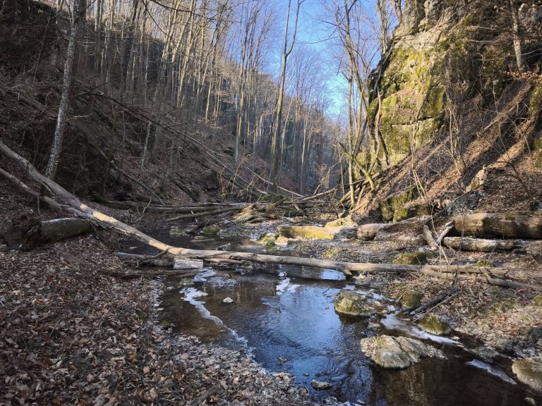 2025.02.22 – Pénzesgyőr