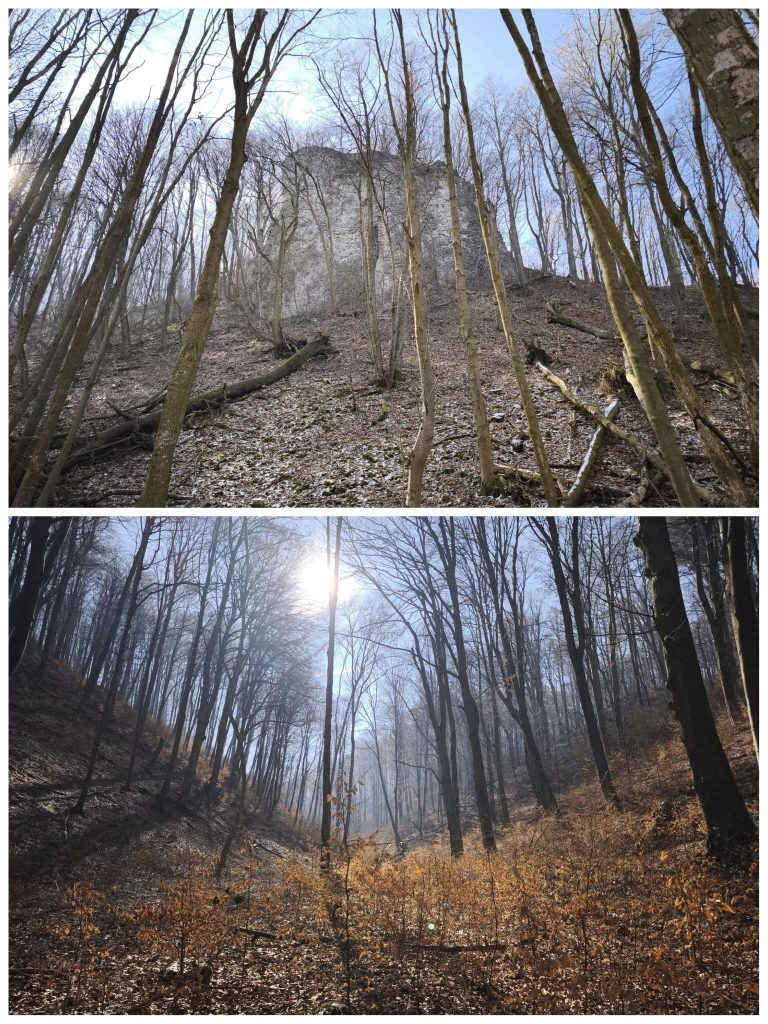 Fehér-kő-árok