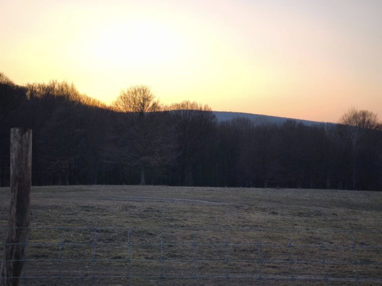 Naplemente