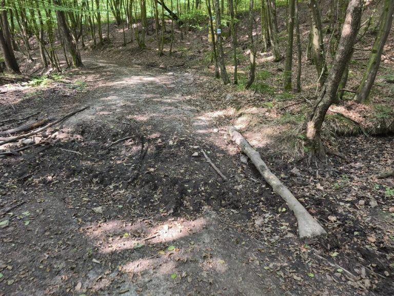 Kiszáradt patakmeder