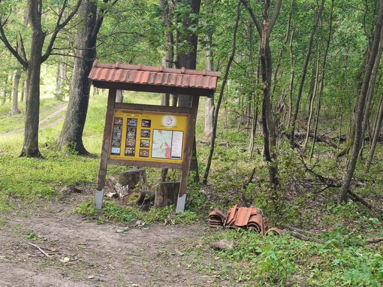 Körtefa nyereg - pár perc múlva elkezdett esni az eső