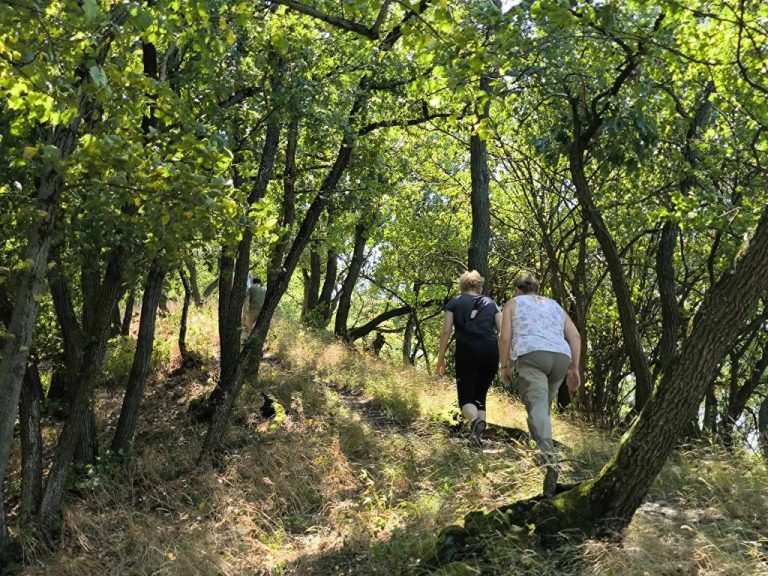 Róka szikla után vissza a gerincen