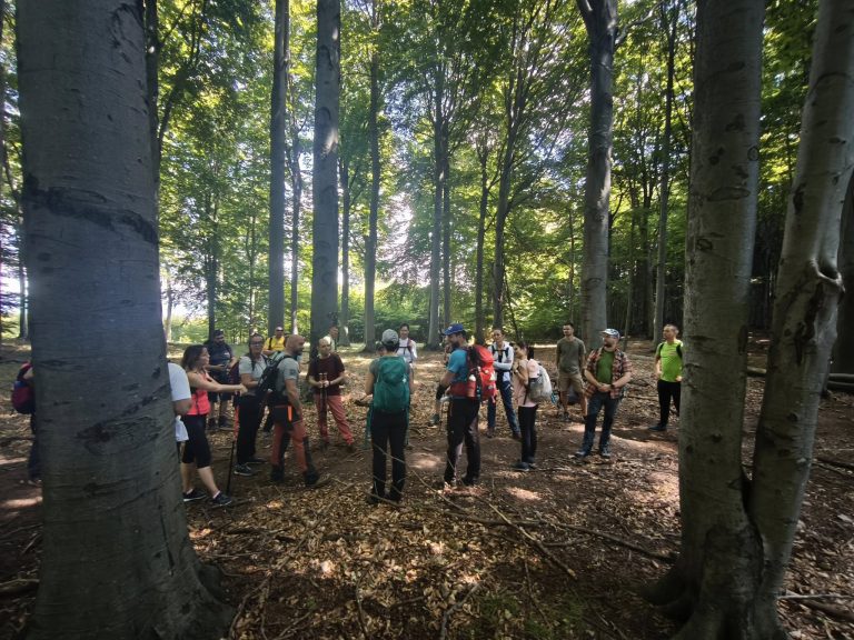 Érdekes infók a Három-hányásnál