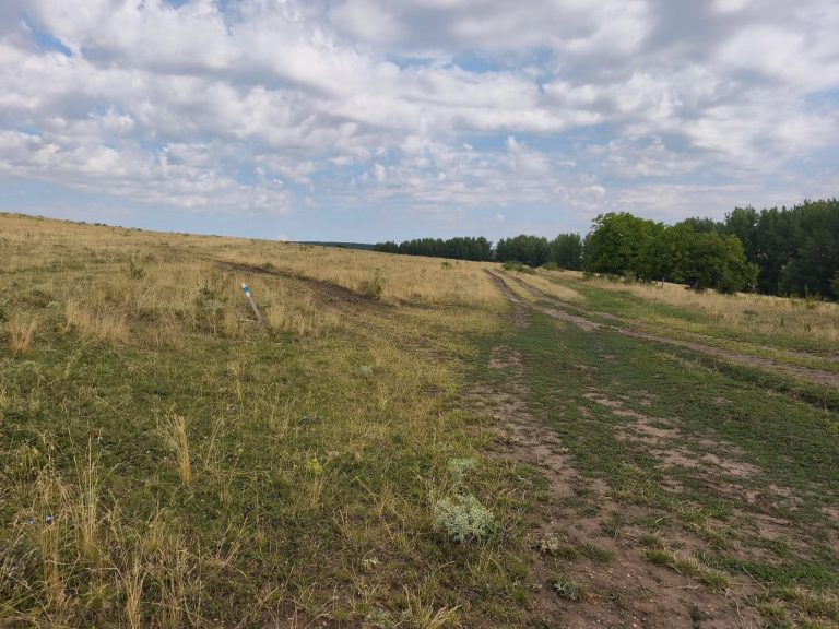 Útjelzés a mezőn - balra kell térni Fancsal felé