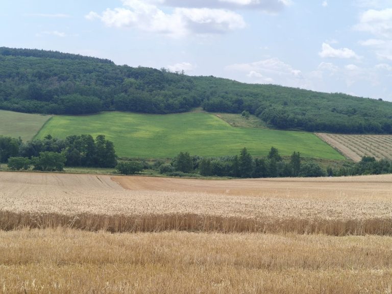 Hullámzó rétek, mezők