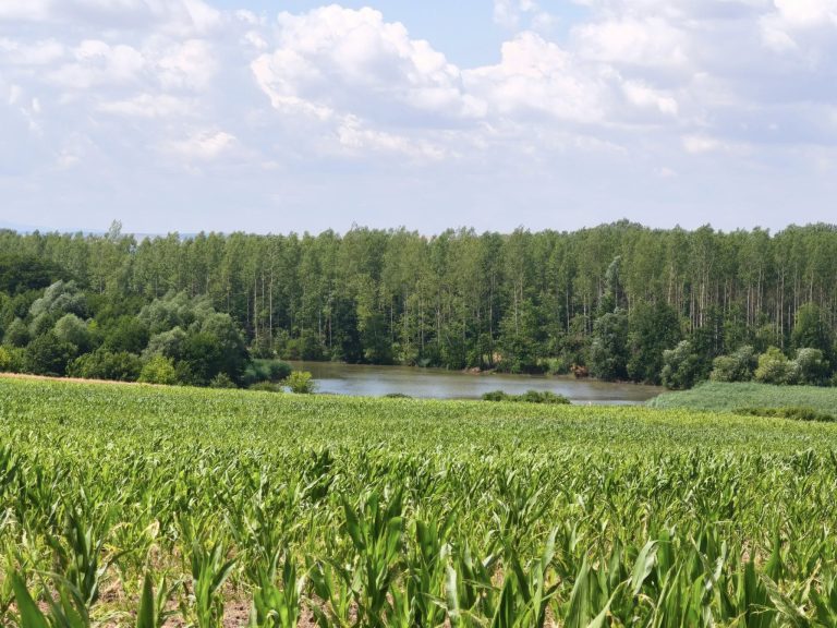 Előbukkan a Hernád