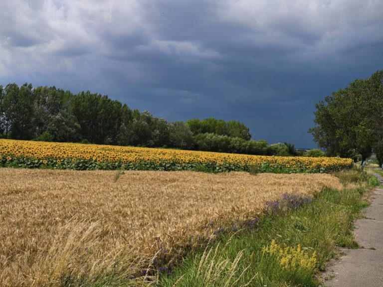 2025.07.11 – OKT, Boldogkőváralja-Encs