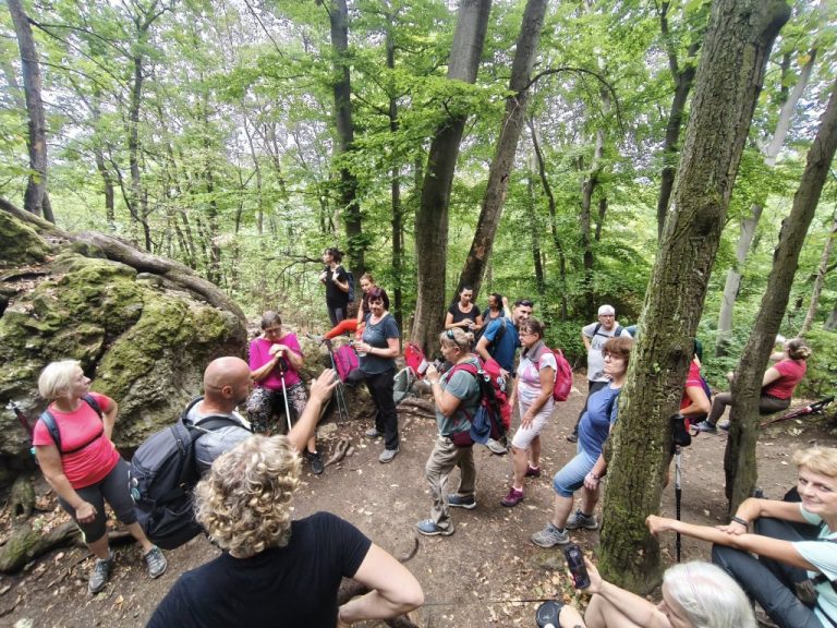 Persze a Vasas-sziklánál is van magyarázat
