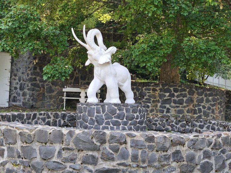A "zempléni mamut"
