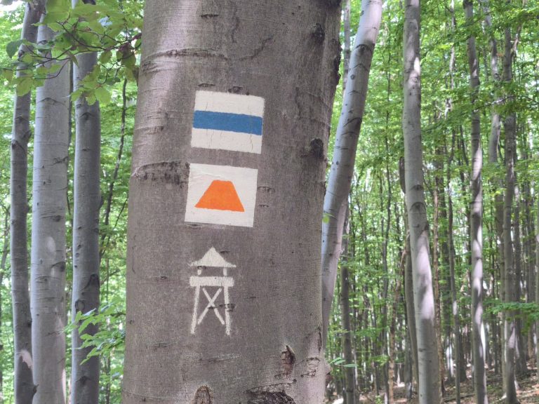 Kis-Milic, Károlyi kilátó turistajelzése