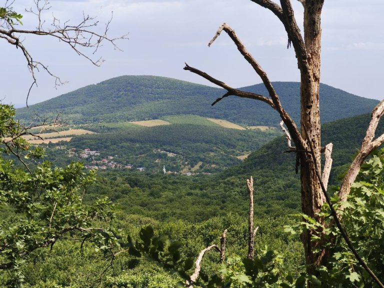 Pusztafalu