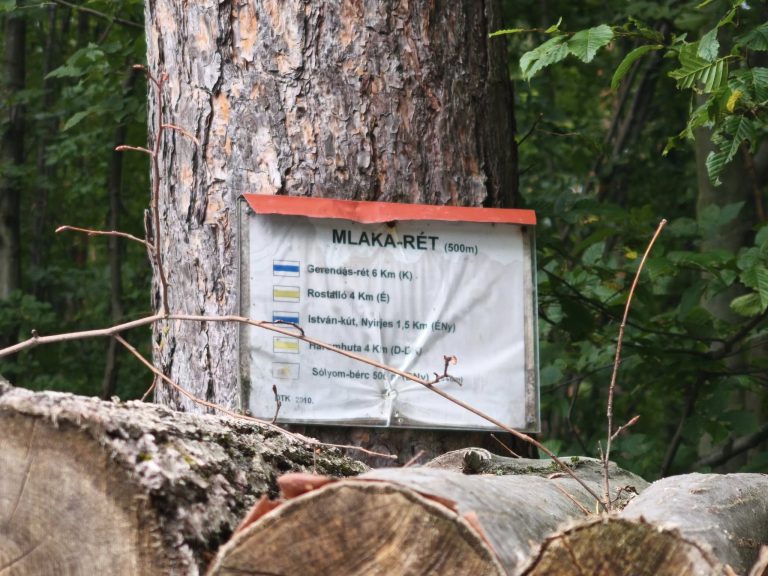 Egy régi információs tábla a Mlaka-réten