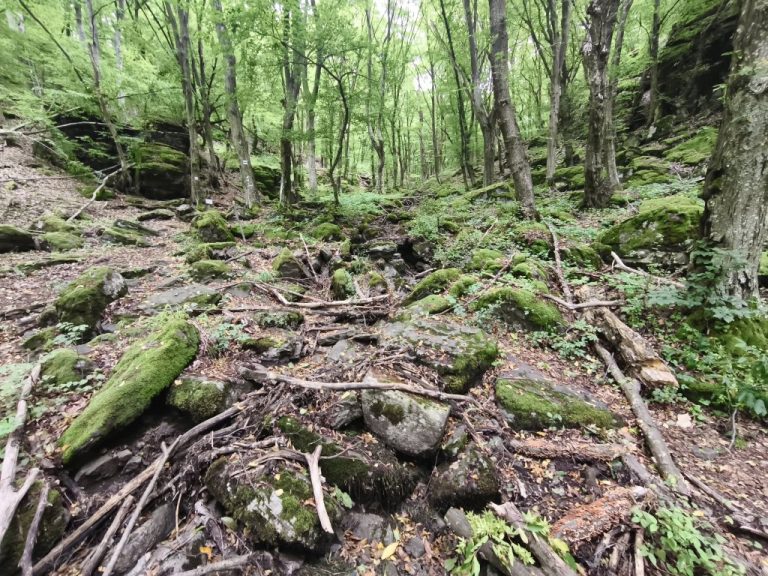 Puskás-patak a Kemence-kőnél
