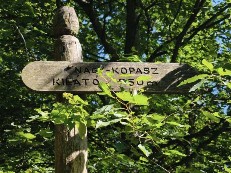 A következő úticél