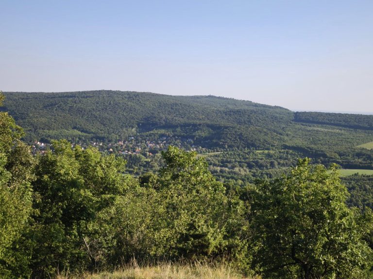 A völgyben Nagykovácsi házai