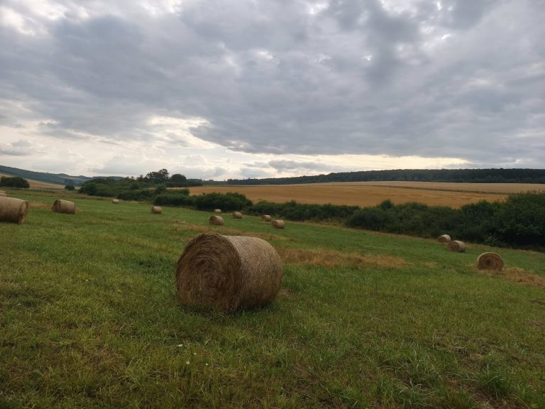 Szalmabálák