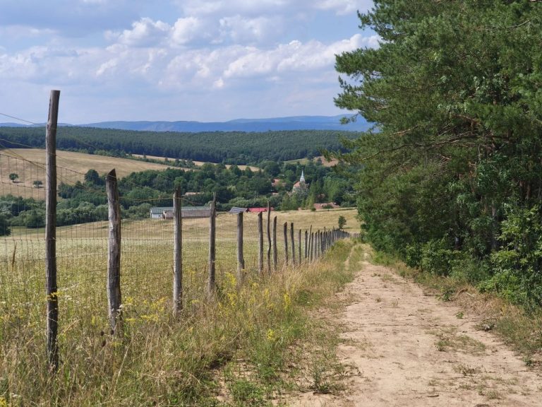 Az ott már Tornabarakony