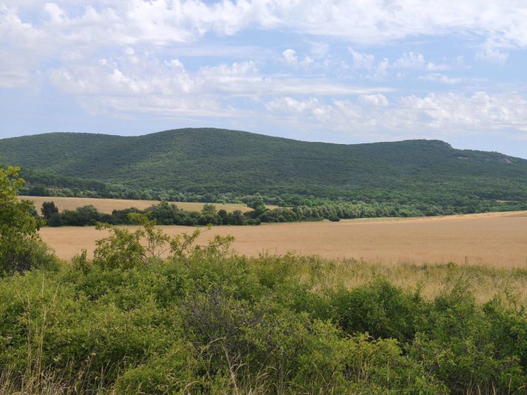 Búzamező hegyekkel