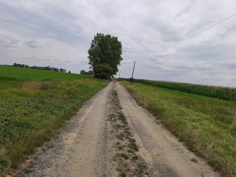 Ez az út vezet Kisvásárhelyre