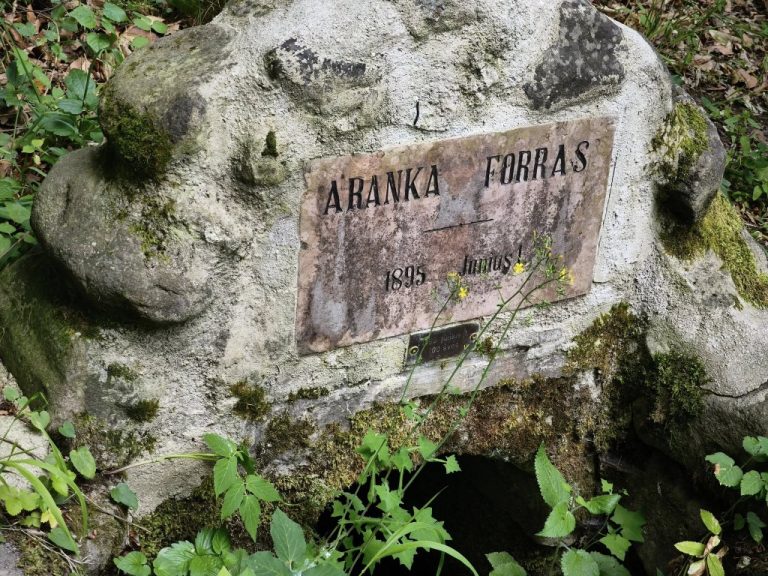 Aranka forrás