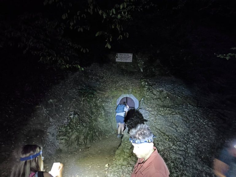 Akinek kedve volt, benézett az ajtón
