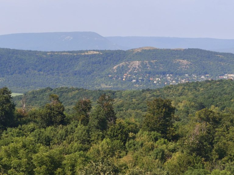 Pilis tető a kilátóból