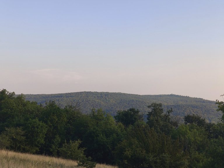 Kilátás a Kutya-hegyről