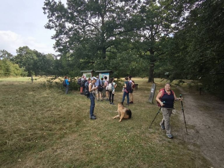 Az út túloldalán A táblákon egy kis információ morzsa