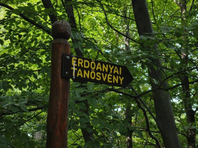 Erre vezet az Erdőanyai tanösvény
