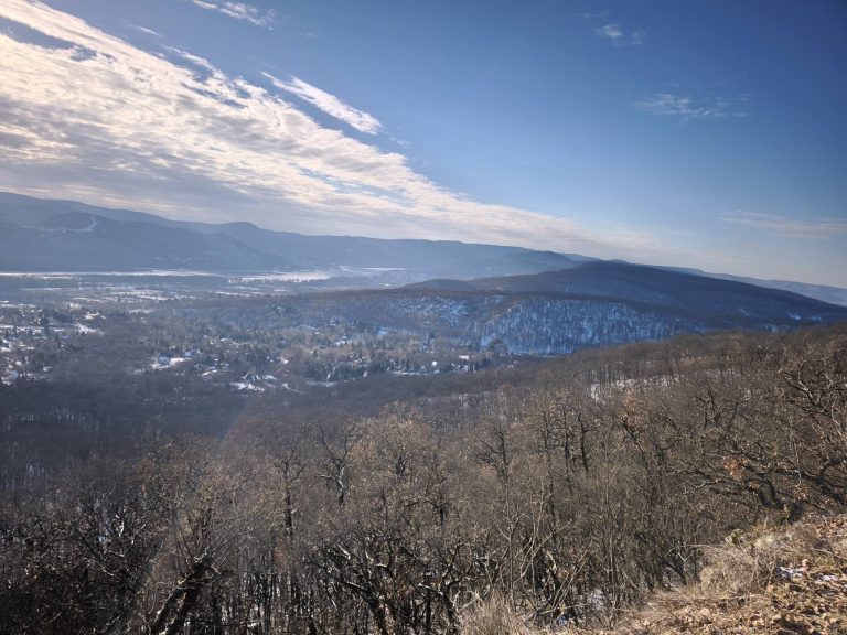 Felértünk a Gál-hegyi kilátóponthoz