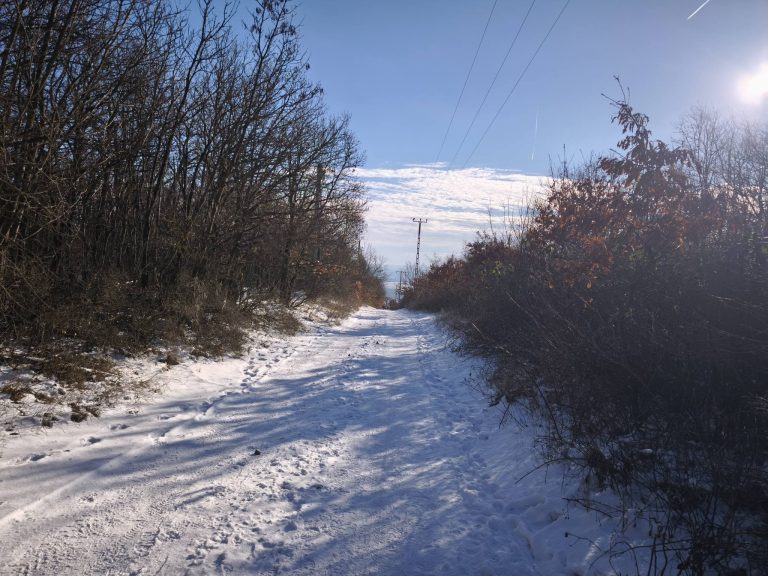 A távolban egy nagyobb csoport közeledik