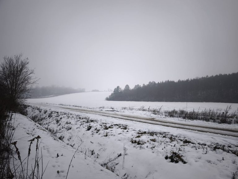 Téli táj köddel