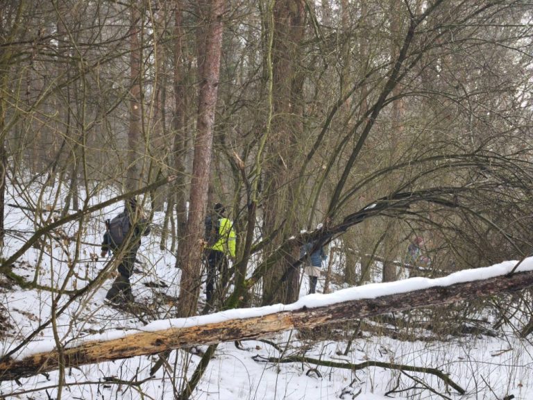 Nem bujkálnak, hanem arra visz az út