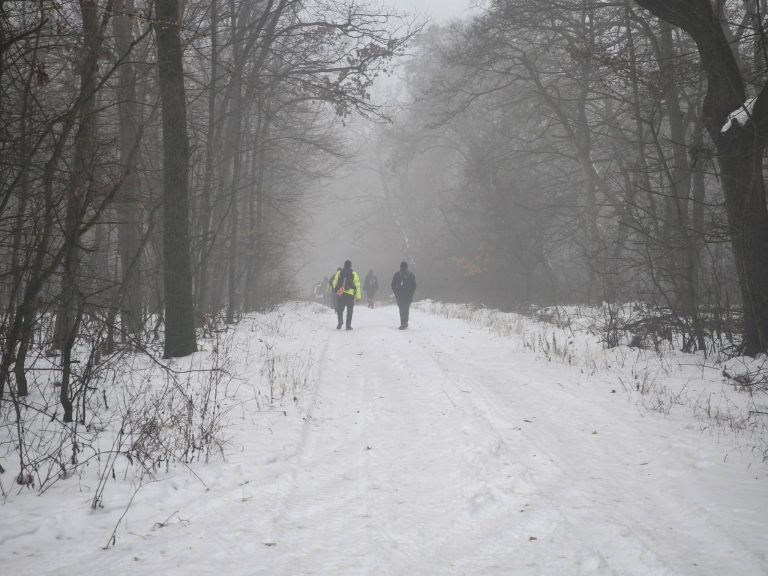 Élveztük a téli tájat