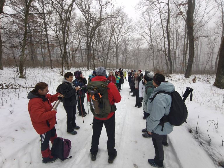 Szkíta halomsírok közelében