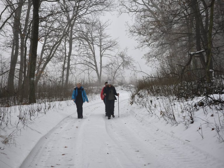 Néha külön utakon jártak