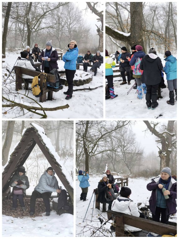 Életképek az Erzsébet pihenőnél - 03