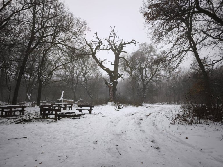 A hóval fedett Erzsébet pihenő