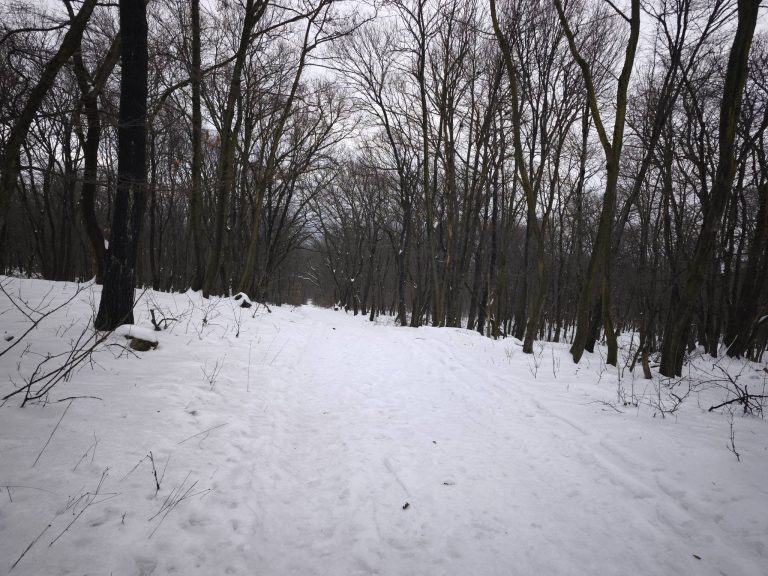 Emelkedő után végre egy kicsit lefelé megy az út