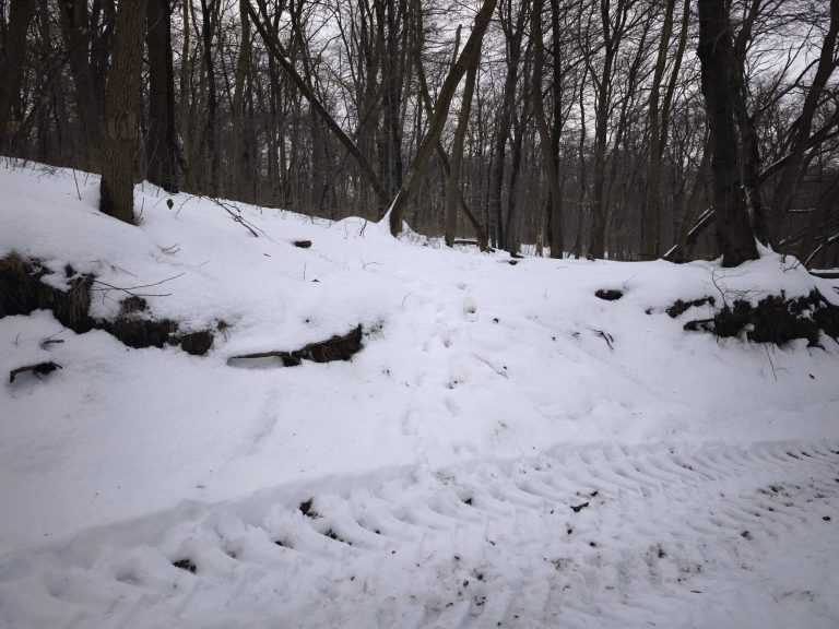 Itt csatlakozott volna a Luy ösvénye a K+ jelzésbe. Nem bántuk meg a plusz km-eket, a hóban egyáltalán nem látszott az ösvény