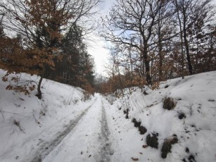 A letaposott úton már olvad a hó